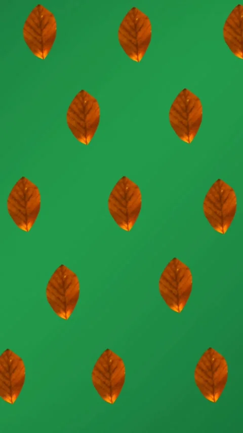 Animation of rows of orange autumn leaves on green background Stock Footage 344284802