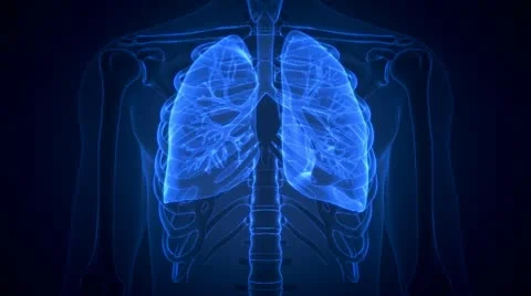 Animation of scanning human anatomy showing ill lungs Stock Footage