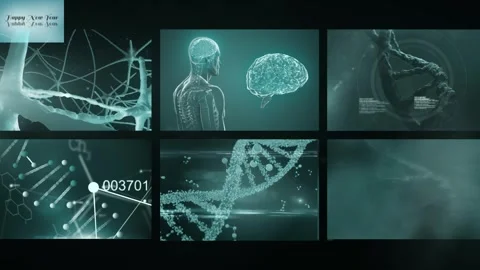 Animation of scientific and biological data on screens over black background Stock Footage 327448009
