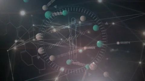 Animation of scientific data, human model and connections over black background Stock Footage 328009584
