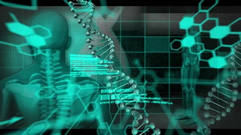 Animation of scientific data processing over human skeleton Stock Footage 266183060