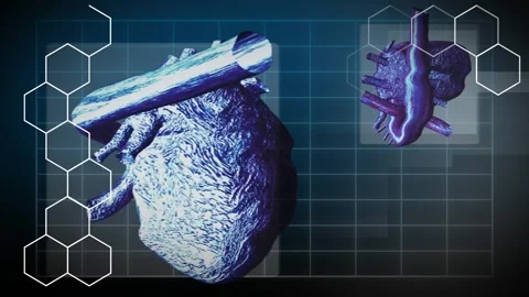 Animation of scientific data processing over human heart Stock Footage 330591129