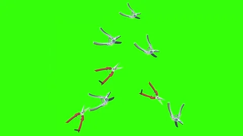 Animation of scissors, gardening tools, chroma key Stock Footage 250224298