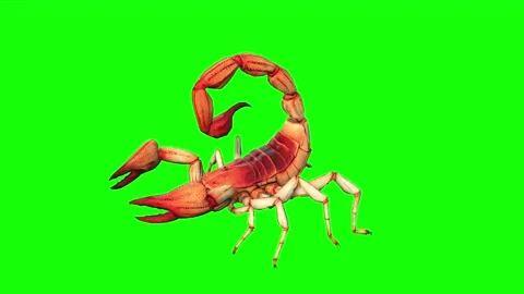 Animation of Scorpion from the side on green background Stock Footage 133370604