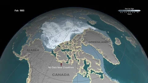 Animation of the sea ice maximum extent thicker ice has changed between 1984 and Видео 90410443