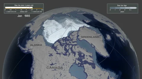 Animation of the sea ice maximum extent thicker ice has changed between 1984 and Видео 122838238