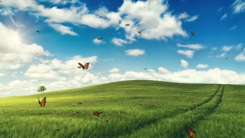 An animation sequence of a flock of butterflies in a green meadow 4K Stock Footage 261708637