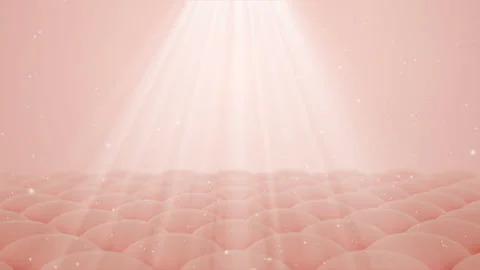 Animation serum through the skin layer and reduce up saggy skin of the skin  動画素材 146511939
