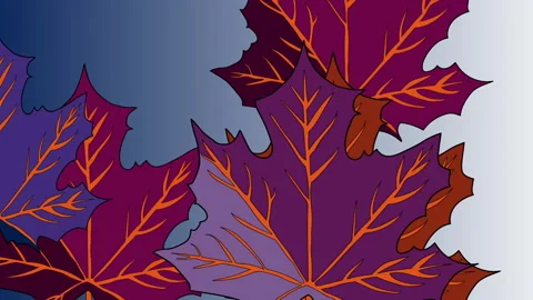 Animation of several maple leaves in various colors Video stock 147623950