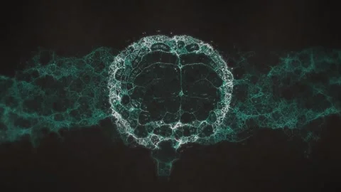 Animation of shapes and brain over black background Stock Footage 328243903