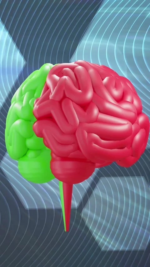 Animation of shapes moving over spinning brain Stock Footage 320589930