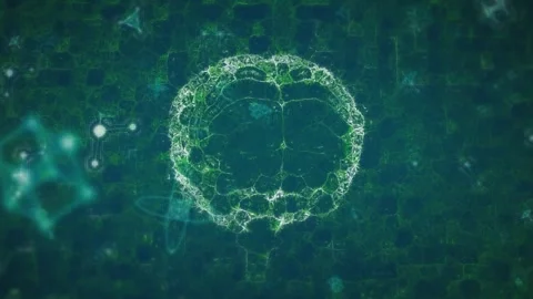 Animation of shapes over digital brain Stock Footage 316738034