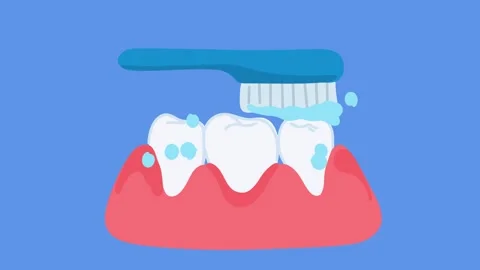 Animation showing proper tooth brushing technique daily Stock Footage 336298594