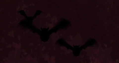 Animation of silhouettes of bats over moving shapes on black background Stock Footage 308439514