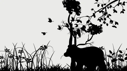 Animation of Silhouettes of Bear,  trees and birds flying on Stock Footage 328297178