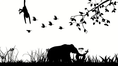 Animation of Silhouettes of Elephant, monkey trees Stock Footage 328297148