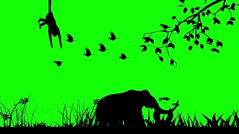 Animation of Silhouettes of Elephant, monkey trees Stock Footage 328297149