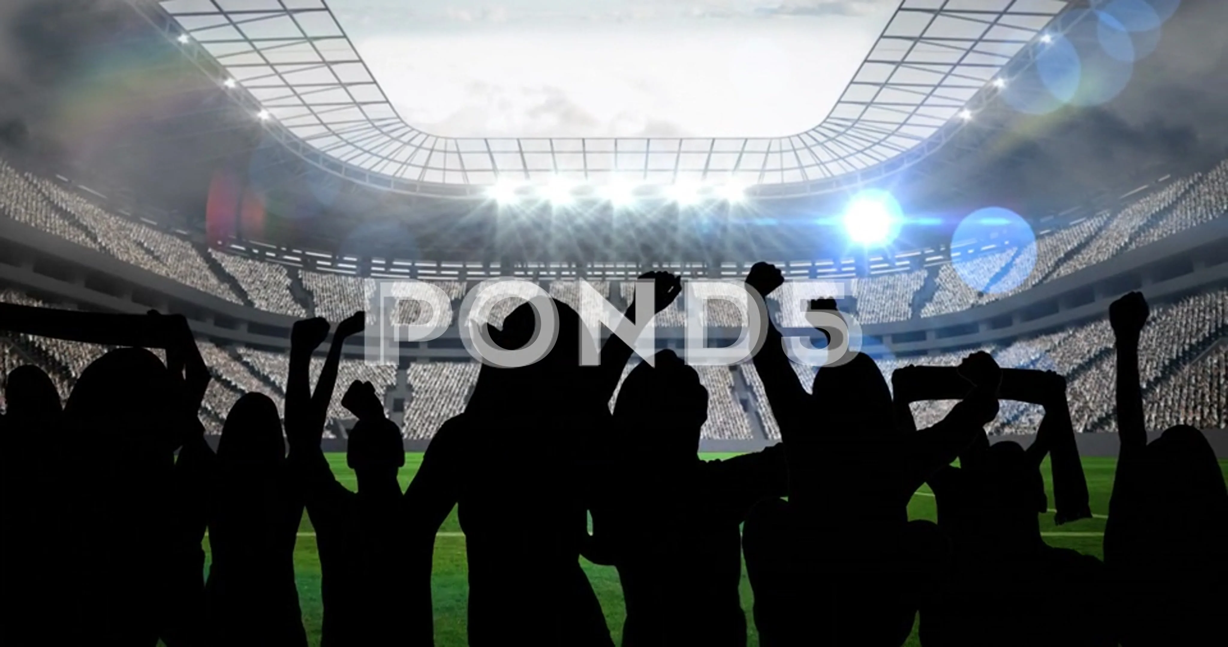 sports crowd silhouette