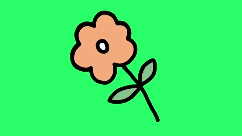 Animation simple flower shape isolate on green background. Stock Footage 252996174