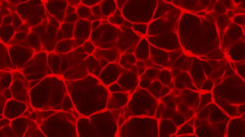 Animation of simulation of caustics patterns created when light rays are Stock Footage 265836735