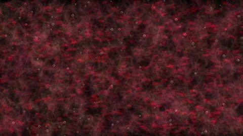 Animation, simulation of white blood cells and red blood cells moving Stock Footage 259475607
