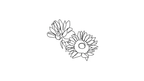 Animation of single continuous one line drawing flower, butterfly, nature Video stock 128419290