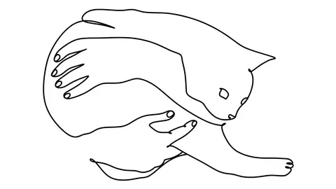 Animation of single continuous one line drawing kitten pet cat animal cute Video stock 128425380