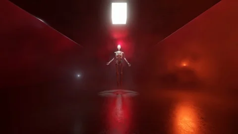 Animation of a Skeleton ascending into the light Stock Footage 127981696