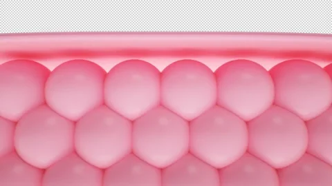 Animation Skin layer and reduce up saggy skin cell. Serum for lightening Dar Video stock 147972670