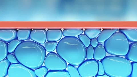 Animation skin layer and reduce up saggy skin cell. Stock Footage 280222818