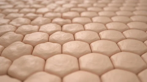 Animation skin layers and reduce up saggy skin cell. Deep whitening of micro-ski Stock Footage 220550069