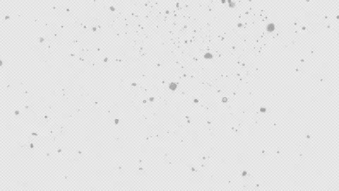 Animation of slowly falling snow with alpha channel. Stockbeeldmateriaal 207513503