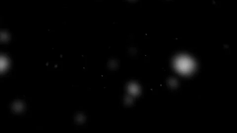 Animation of slowly falling snow. Falling  snowflakes. Blurred movie 스톡 동영상 208142320