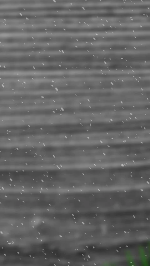 Animation of snow falling against christmas tree branch decoration on wood Stock Footage 343824640
