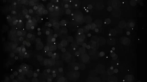 Animation, snow is falling on a black background Stock Footage 167429433