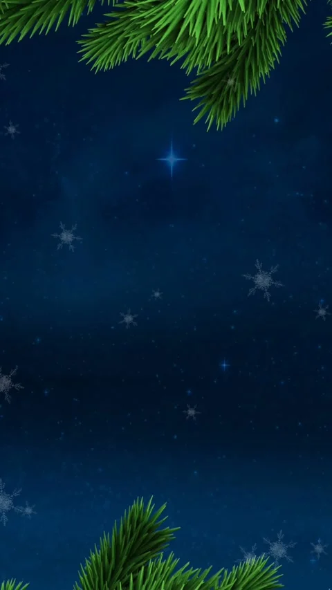 Animation of snow falling with fir tree branches and copy space over stars and Stock Footage 344613815
