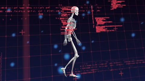 Animation of snow falling over digital human skeleton and data processing on Stock Footage 309356028