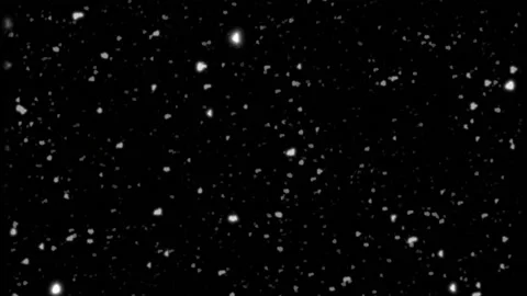 Animation, snowfall on black background Stock Footage 167429281