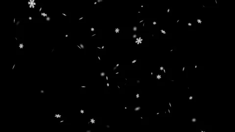 Animation of snowfall snowflakes Stock Footage 258136091