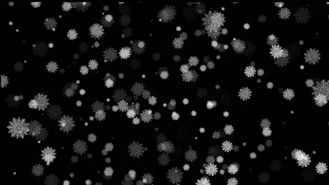 Animation of snowflakes on a black background. Vidéo 142916933