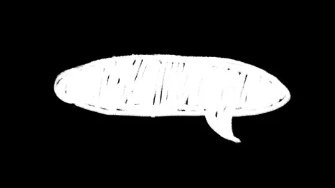 Animation of speech oval bubble cartoon cloud sketch doodle. Stock Footage 306987403