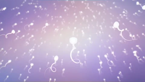 Animation of sperm Stock Footage 171344847