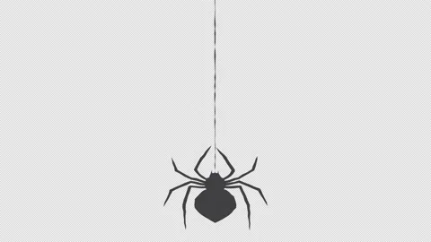 Animation spider goes down on a web. Hal... | Stock Video | Pond5
