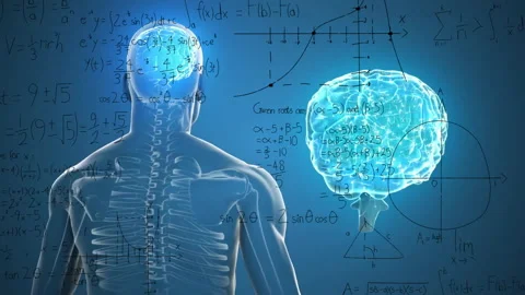 Animation of spinning brain over mathematical equations Stock Footage 265562140