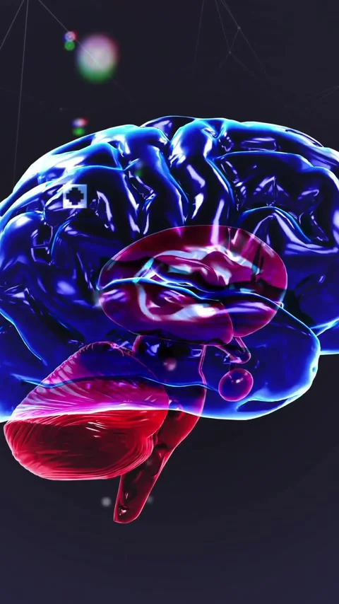 Animation of spinning brain over shapes Stock Footage 320590191