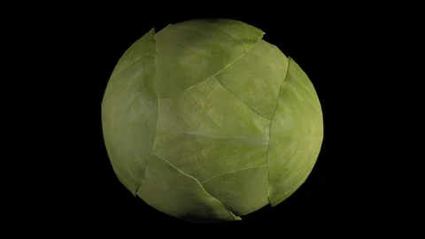 Animation of spinning cabbage on a black... | Stock Video | Pond5