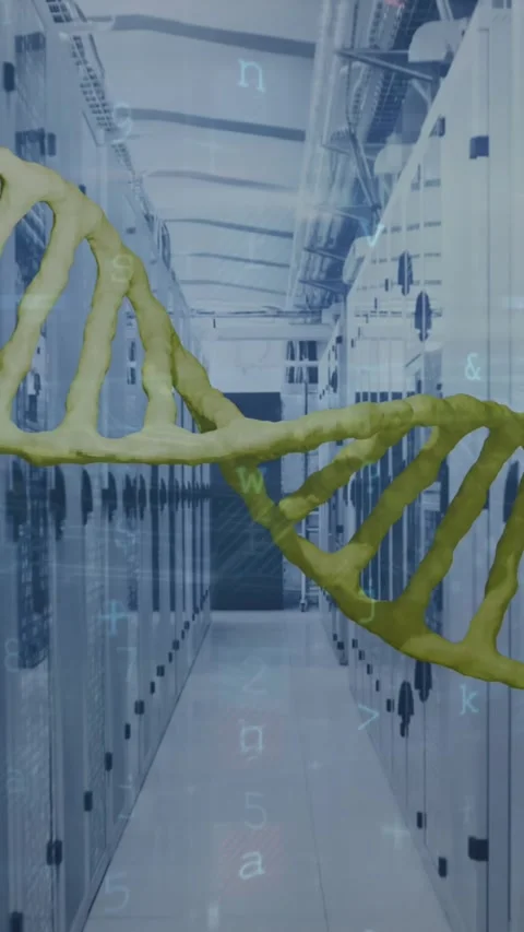 Animation of spinning dna strand over server room Stock Footage 344774575