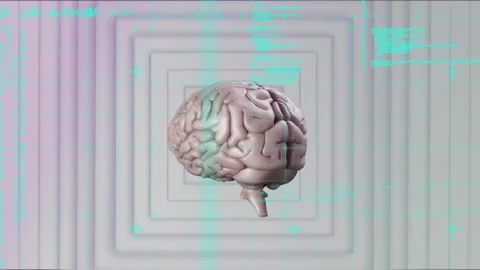 Animation of spinning human brain model and data processing against white Stock Footage 329565297