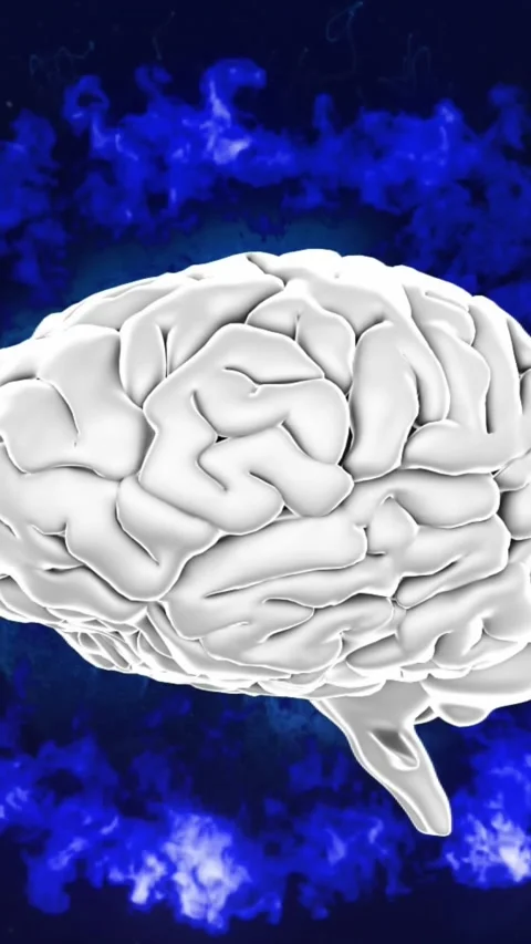 Animation of spinning human brain over blue glowing digital waves against black Stock Footage 344557840