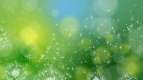 Animation of spring green background with white flying dandelions. Loop Stock Footage 279991993